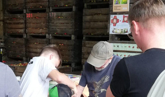 Geschickte Schrauber Foto: Heiko Thonig